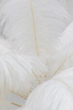 LAMPĂ DE PODEA CU BAZA AURIE ȘI PENE ALBE FEATHER PALM 165 CM