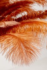 LAMPĂ DE PODEA FEATHER PALM RUSTY165 CM BAZA AURIE