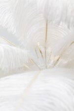 VEIOZĂ CU BAZA AURIE ȘI PENE ALBE FEATHER PALM 60 CM