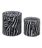 SET 2 CUTII WILD ANIMAL ZEBRA