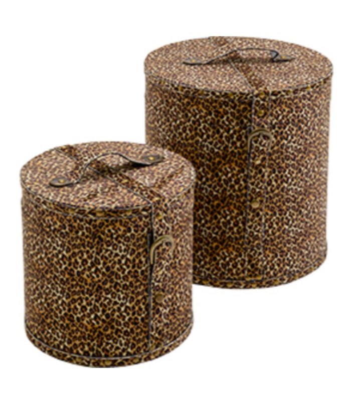 set cutii animal leo kare SET 2 CUTII WILD ANIMAL LEO - imagine 1