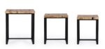 Set 3 Măsuțe De Cafea Elwood