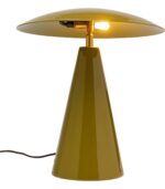 VEIOZĂ FUNGO VERDE PLAT 33CM