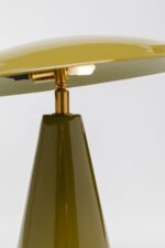 VEIOZĂ FUNGO VERDE PLAT 33CM