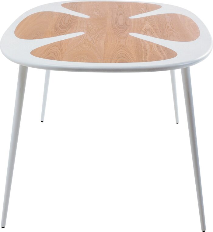 MASA PETAL NATURE ALB 200X100 CM